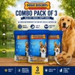 Adult Biscuits 1 Kg Multigrain Biscuit Pack of 3
