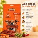 Carrot Flavour Dogo Treats - Image 3