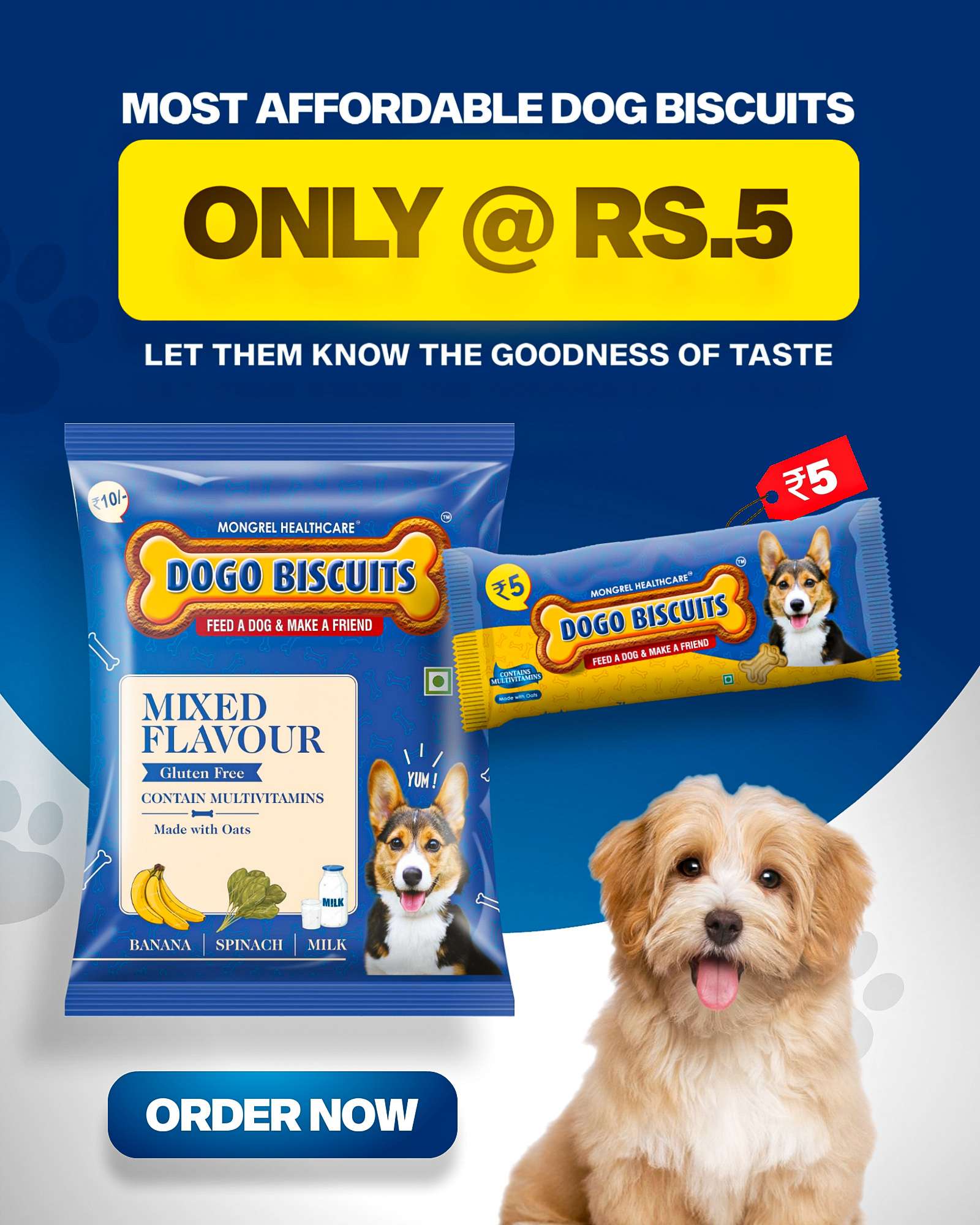 Canidae dog biscuits best sale