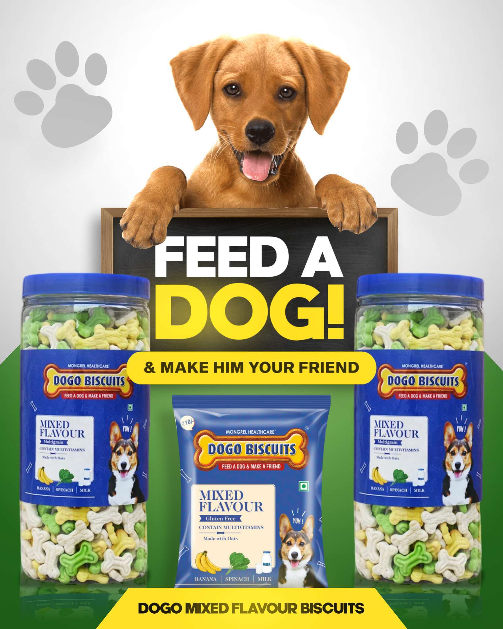 Best dog food biscuits best sale