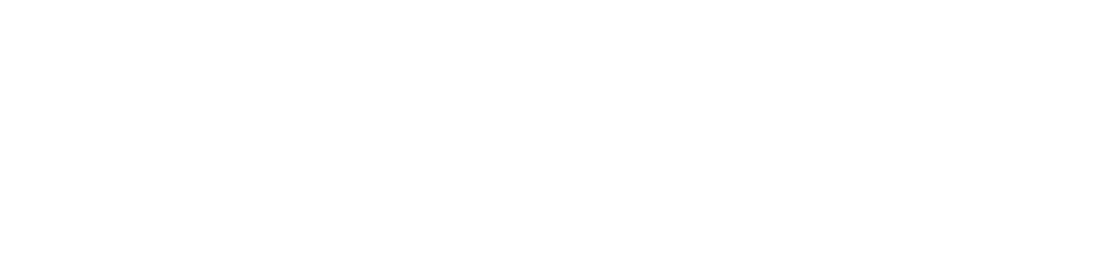 100% Veg Text